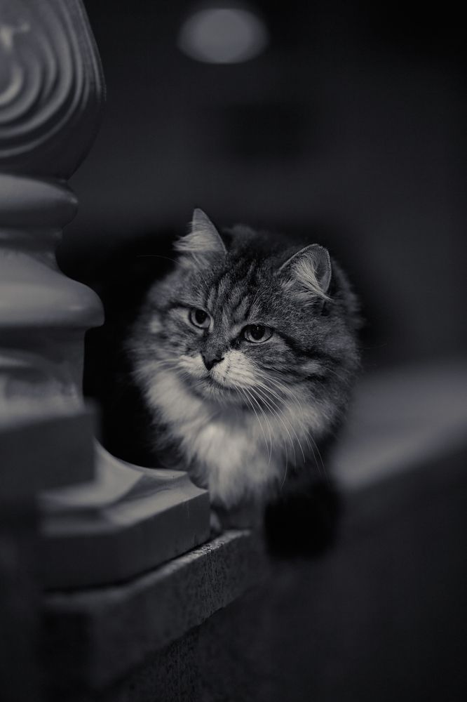 Photograph by Anna D.