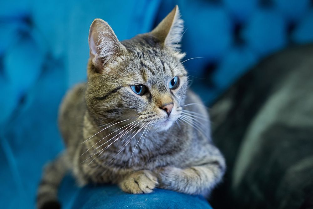 Photograph by Anna D.