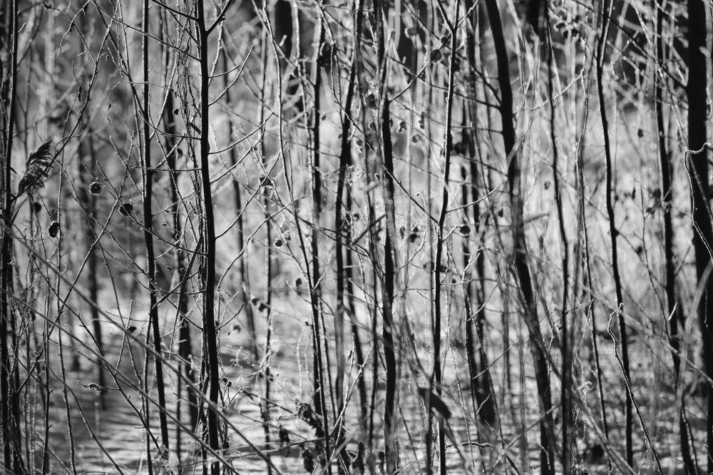 Photograph by Унку Юрий