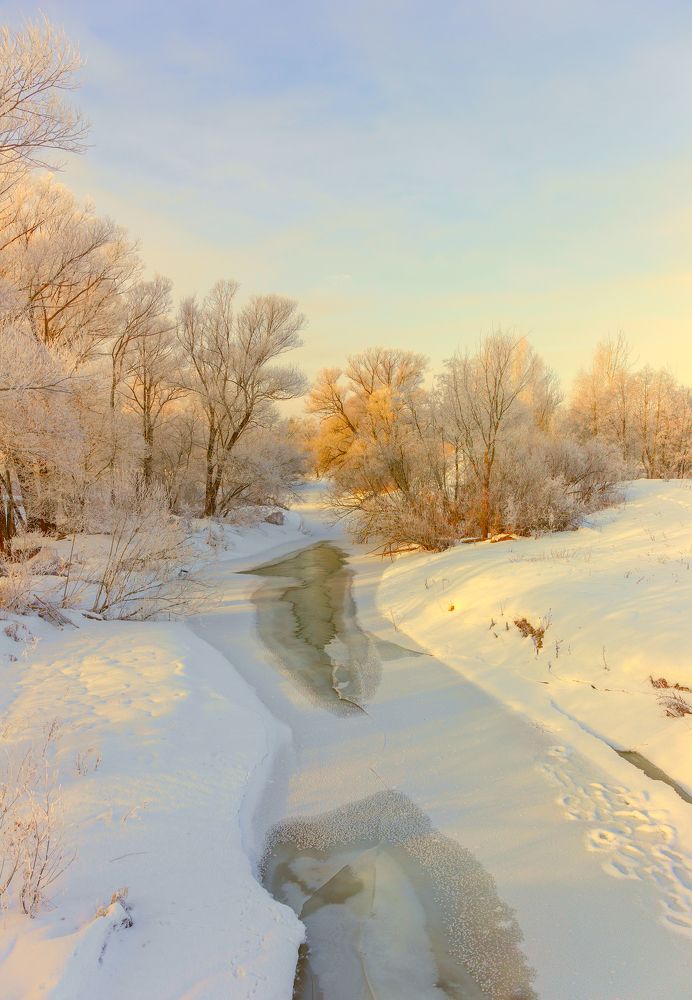 Зимняя нежность