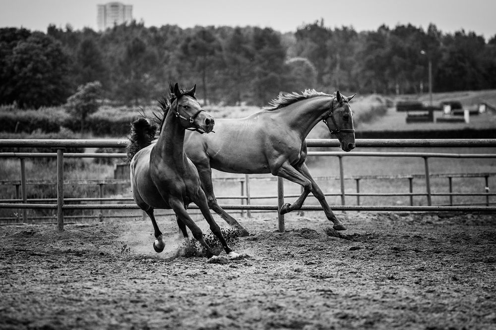 Фотография автора Helena Ivanova