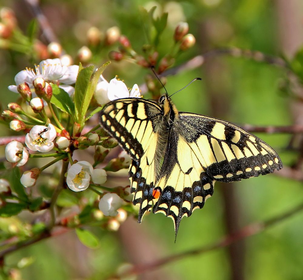 Photograph by Sergei Petrov