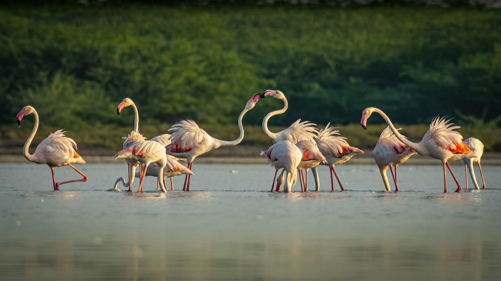 Photograph by Sampath Perera