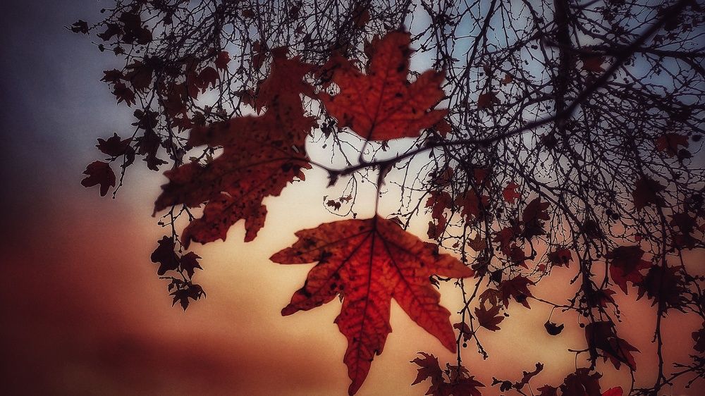 Photograph by shahin foroughi