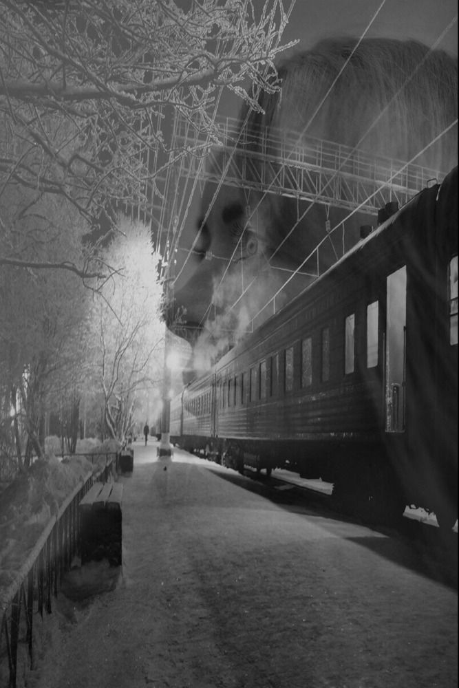 Photograph by Людмила