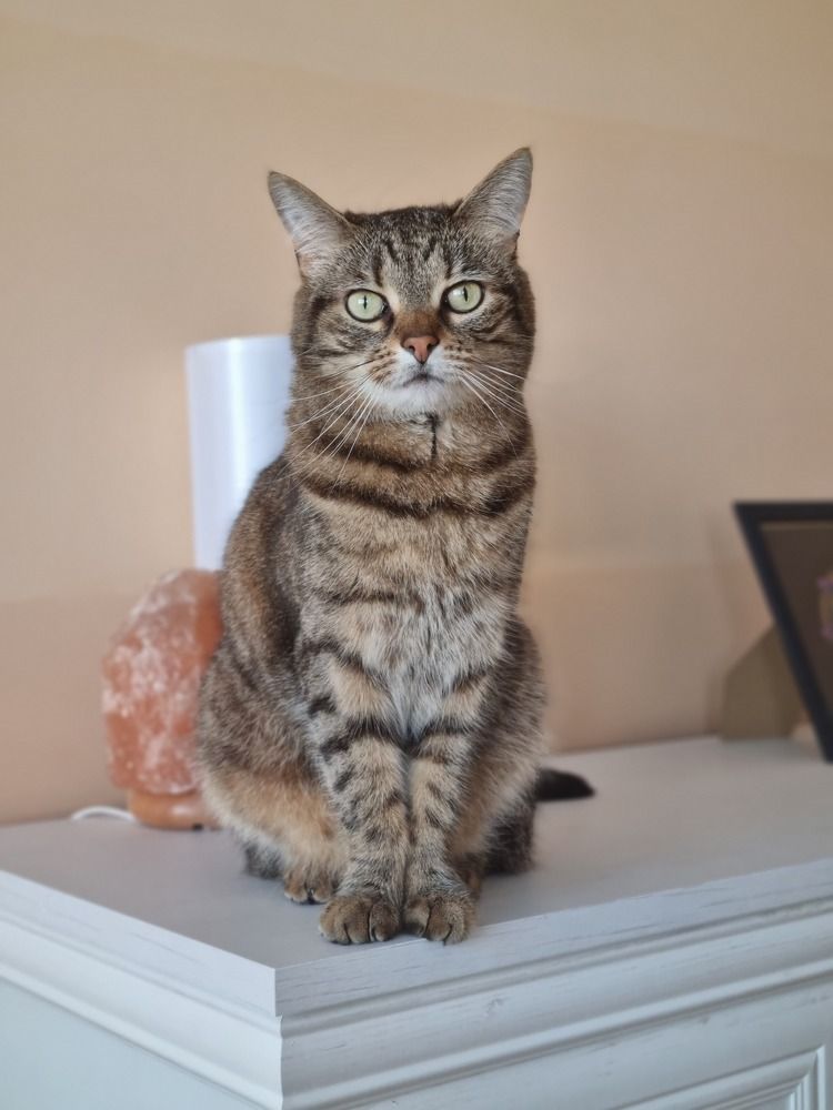 Photograph by Elena Tamošauskaite