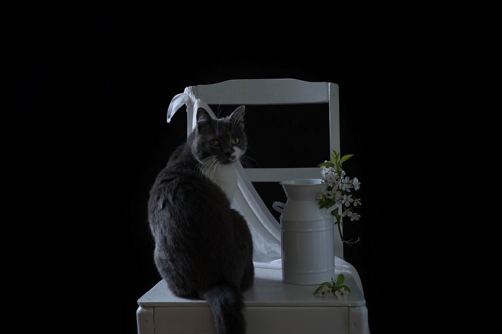 Photograph by Анжелика Королева