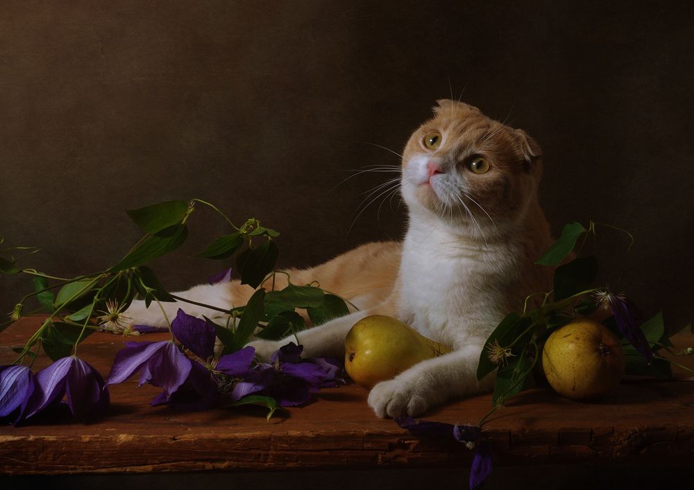 Photograph by Анжелика Королева