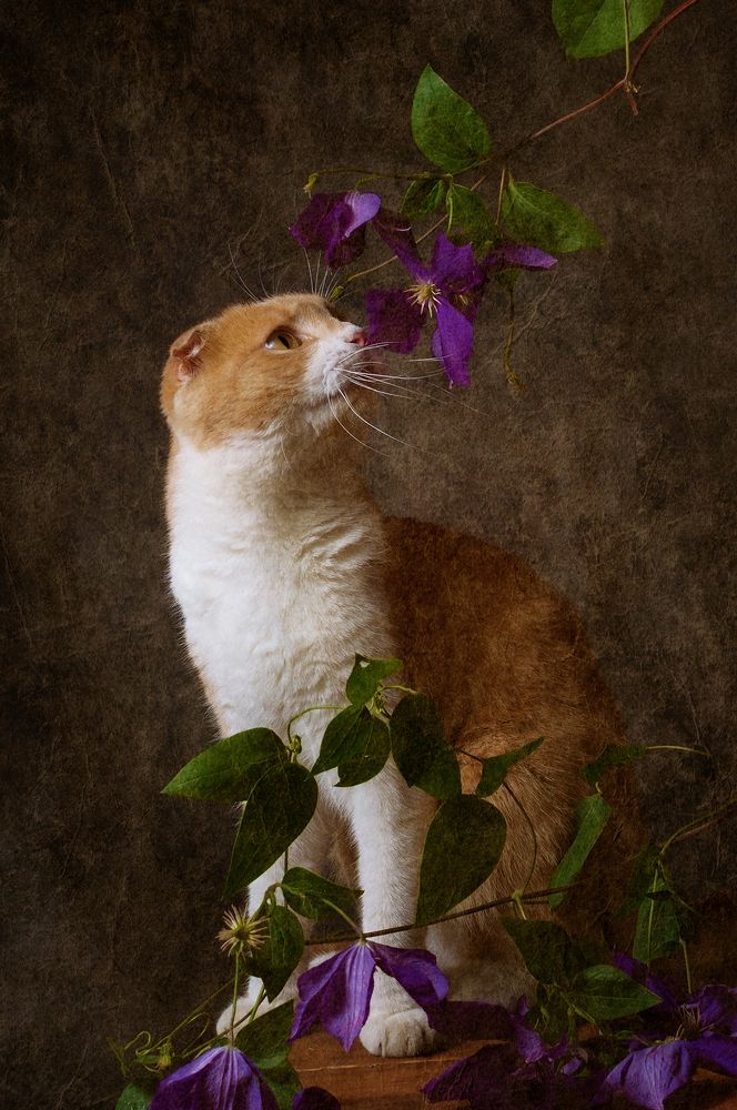 Photograph by Анжелика Королева