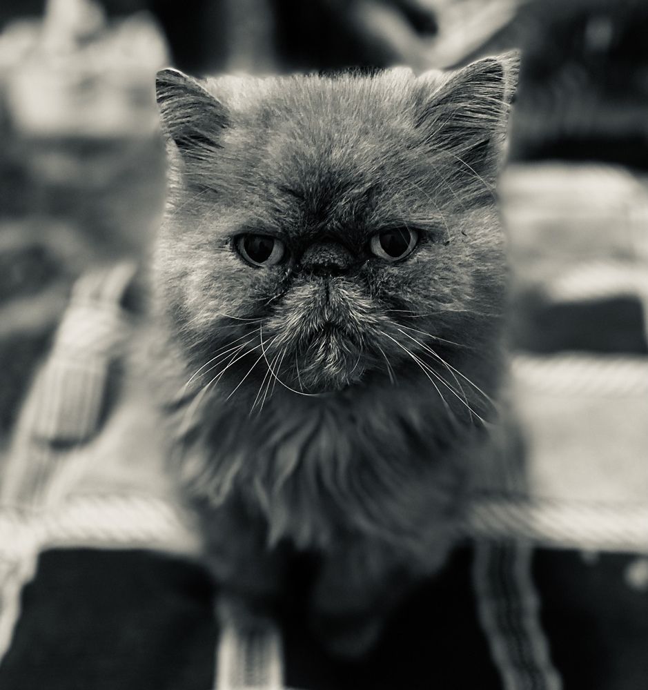 Photograph by Анна