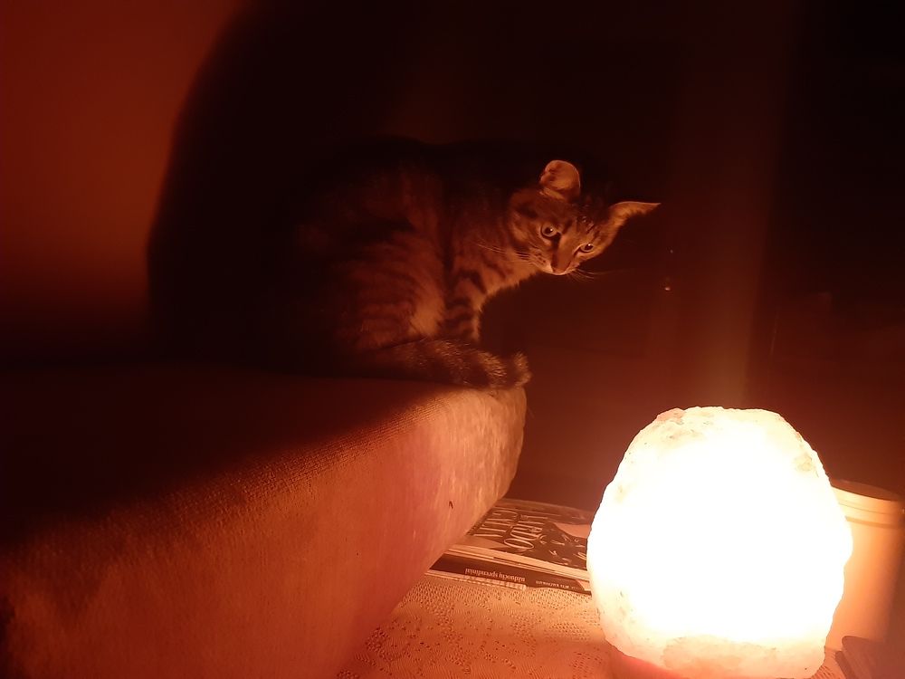 Photograph by Elena Tamošauskaite