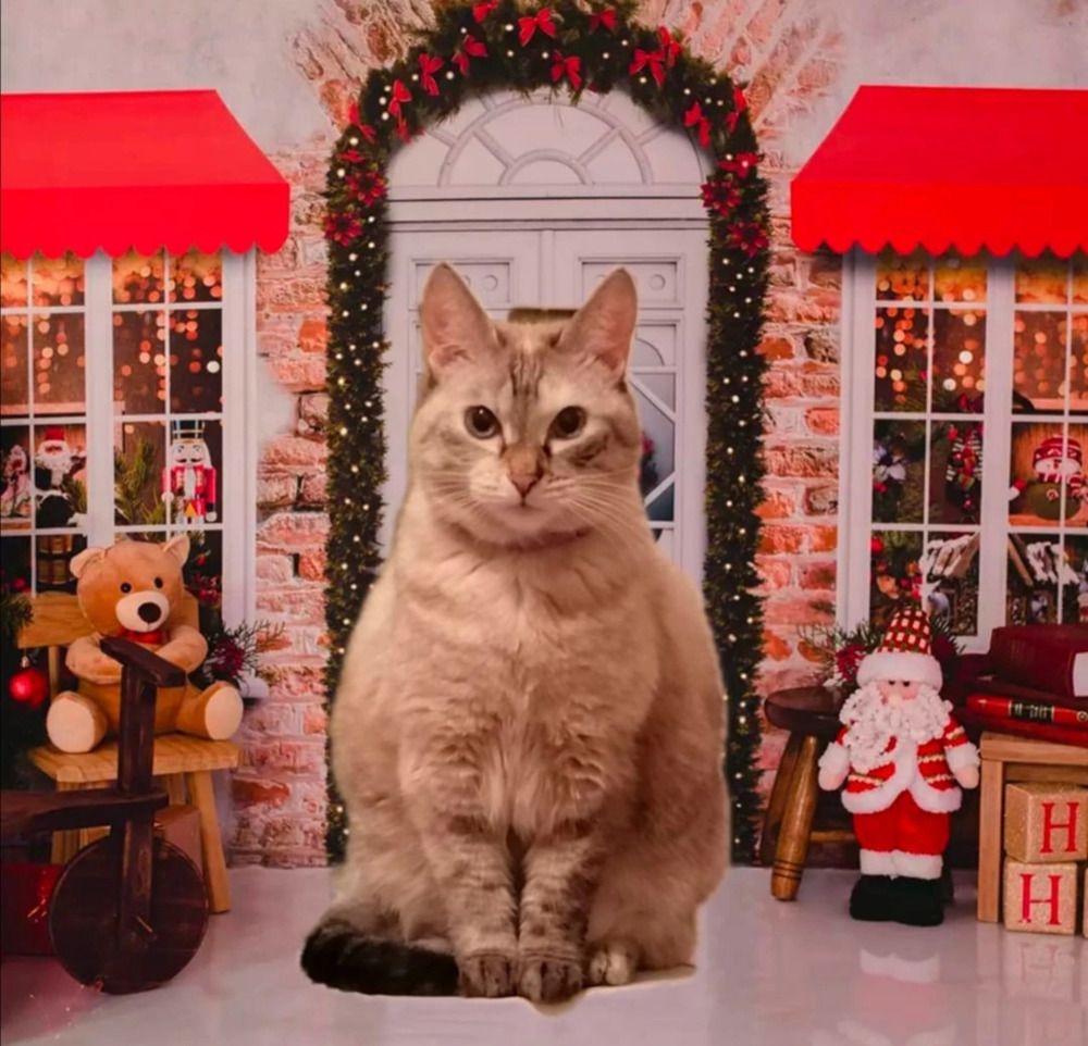 Photograph by Кристина Шмырева