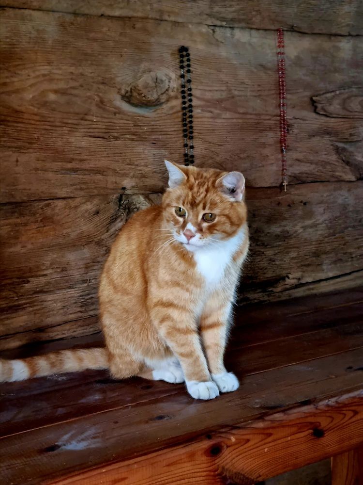 Photograph by Elena Tamošauskaite