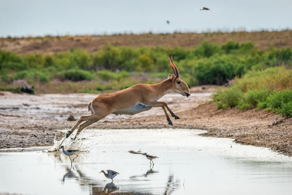 Photograph by Mashin Rostislav