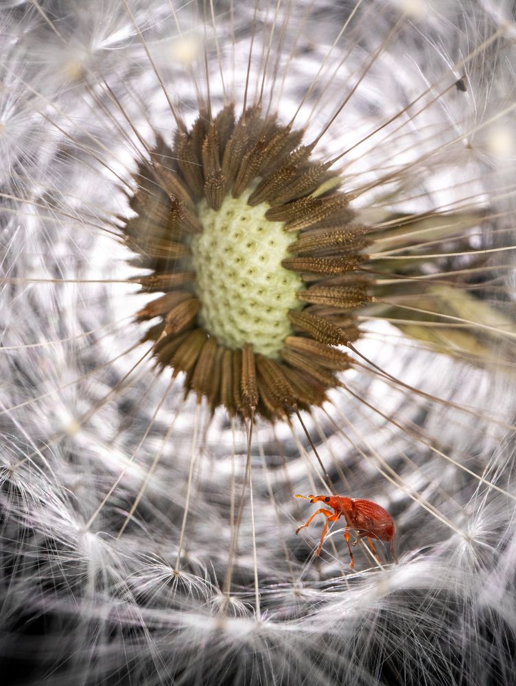 Фотография автора Mashin Rostislav