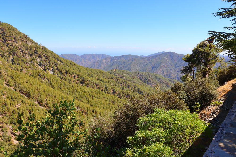 Photograph by ОЛЬГА ДЕРБЕНЕВА