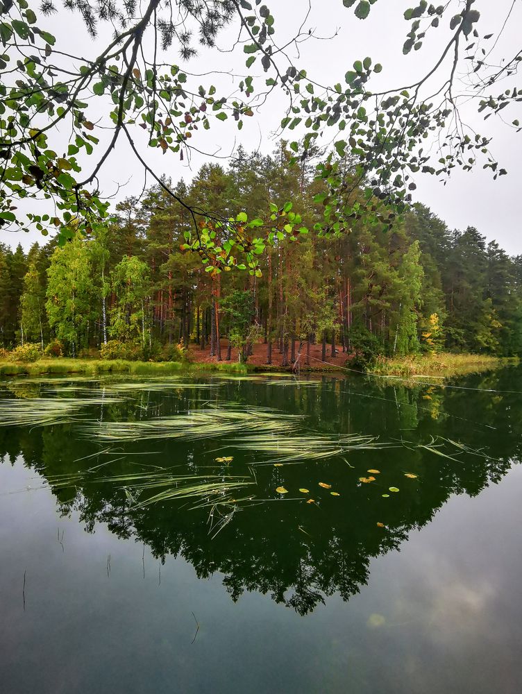 Фотография автора Mashin Rostislav