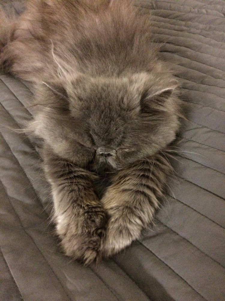 Photograph by Анна