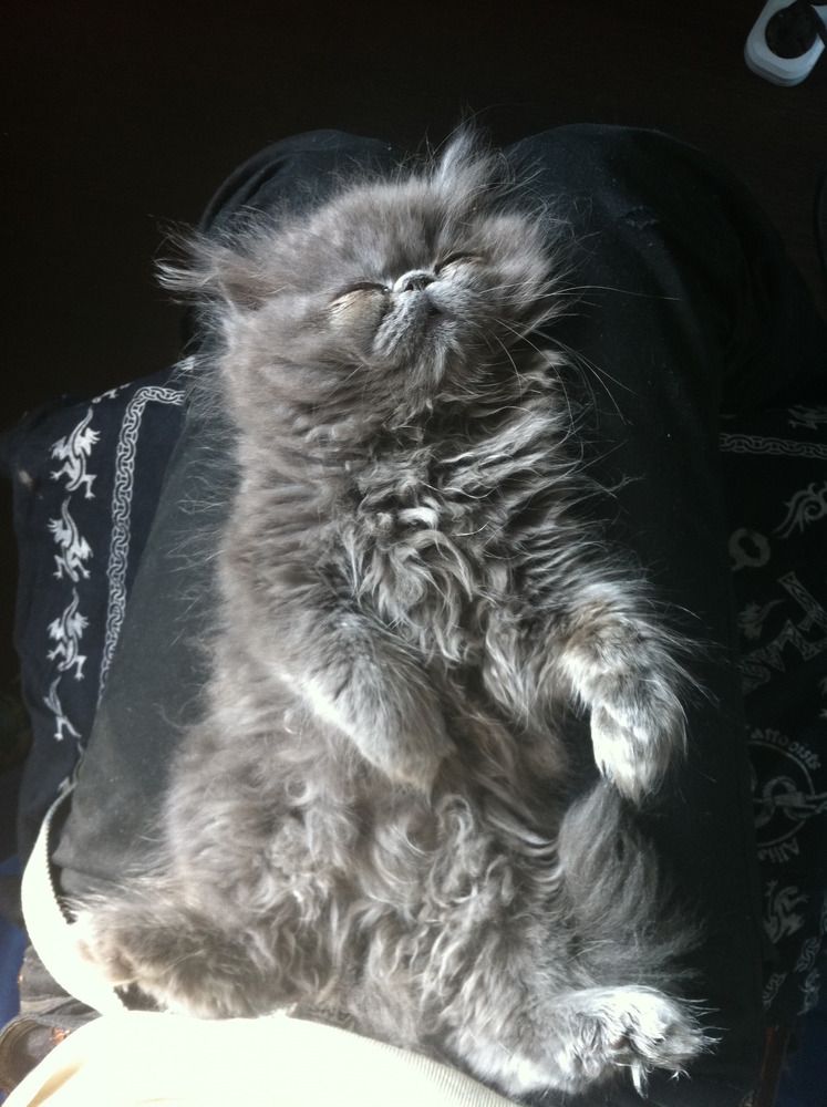 Photograph by Анна