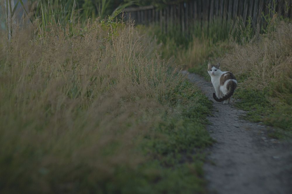 Photograph by Иван Левин