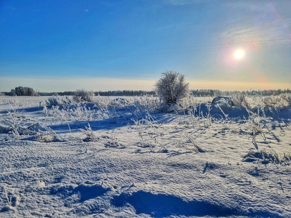 Photograph by Максим Кольцов