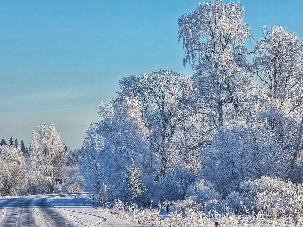 Photograph by Максим Кольцов