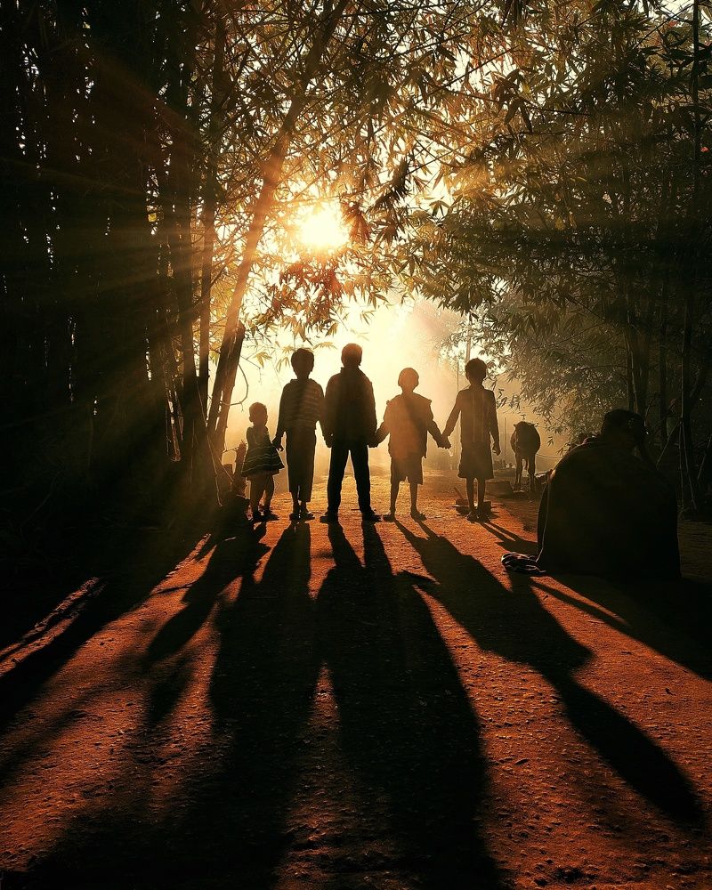 Фотография автора PRADIPTAMOY PAUL