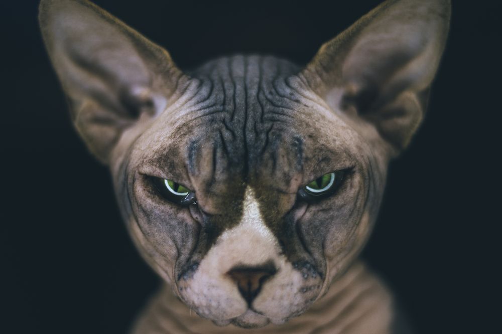 Photograph by Александр Попович