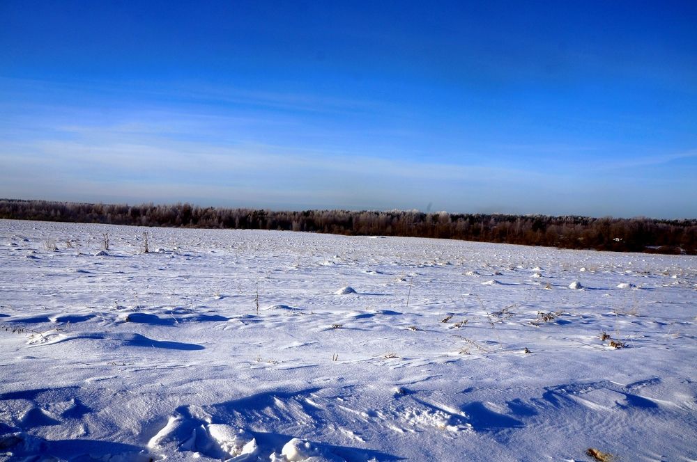 Photograph by Ирина Босак