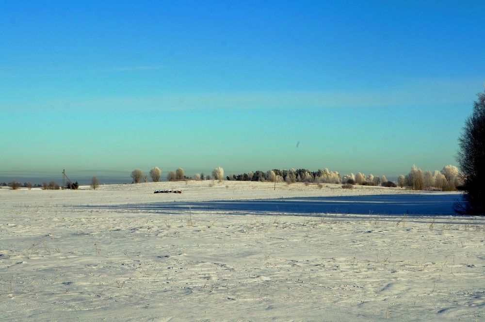 Photograph by Ирина Босак