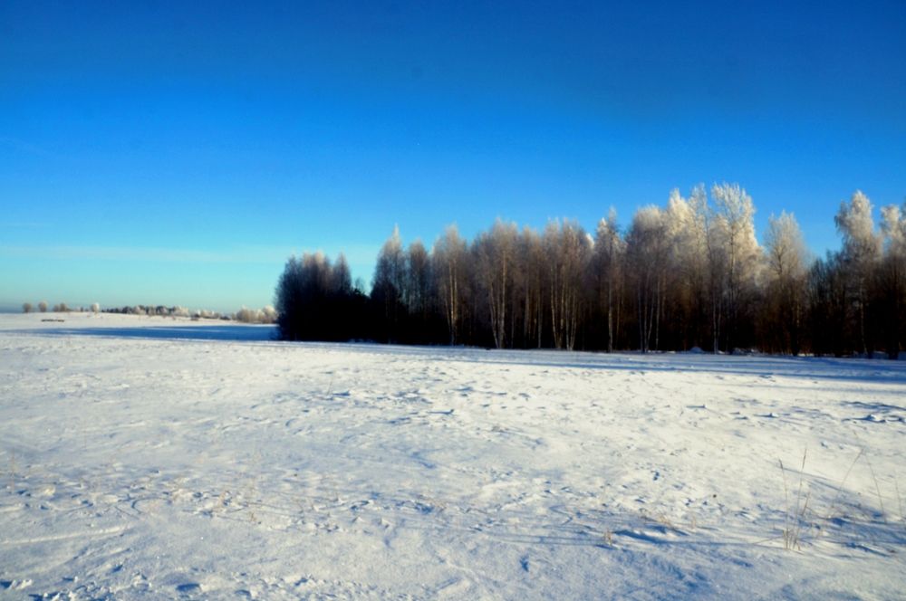 Photograph by Ирина Босак