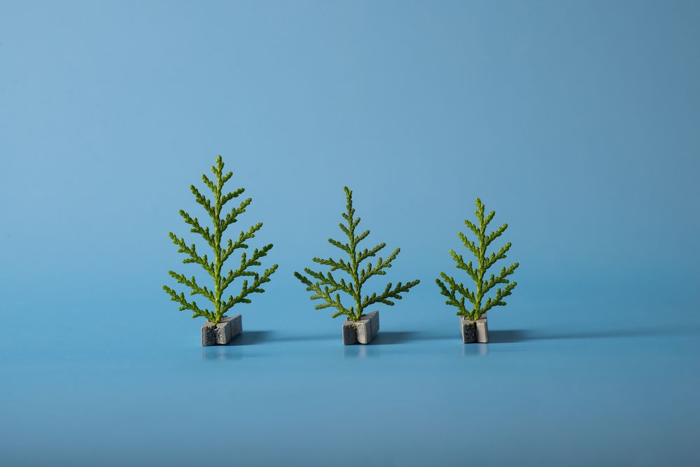 Photograph by Ангела Честнова