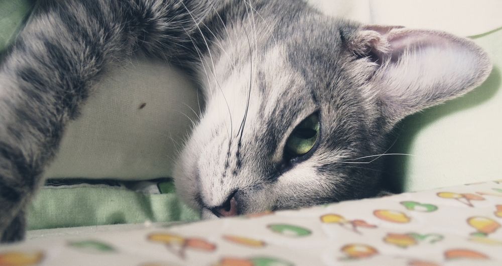 Photograph by Ольга Александрова