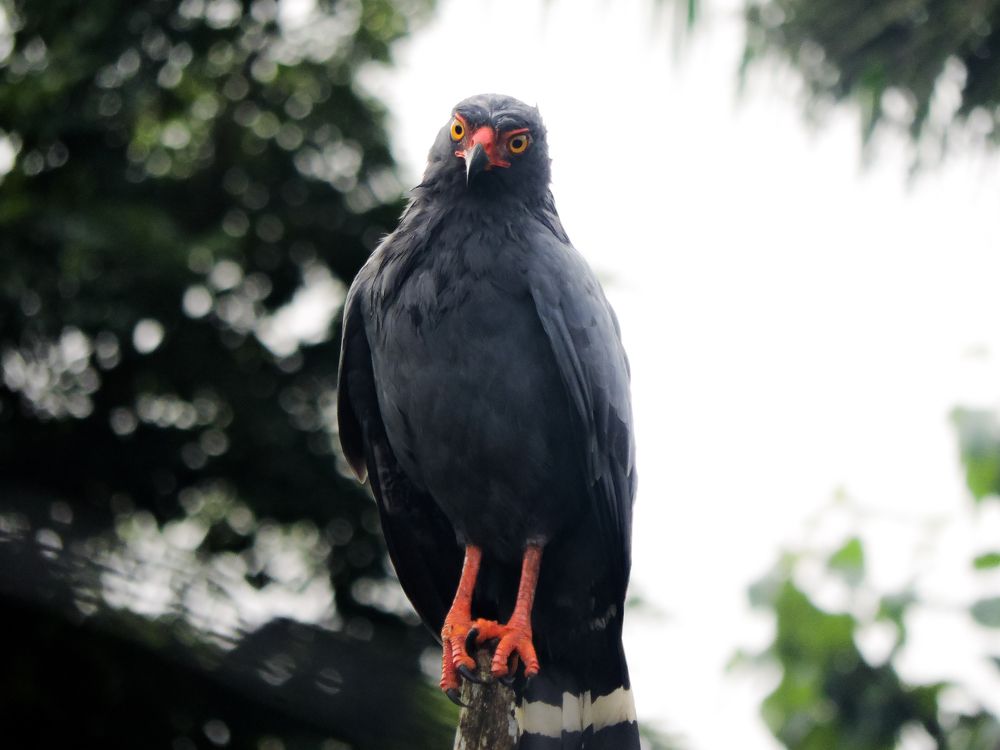 Photograph by Patrícia Helena