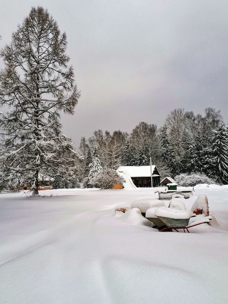 Photograph by Евгений Жиляев