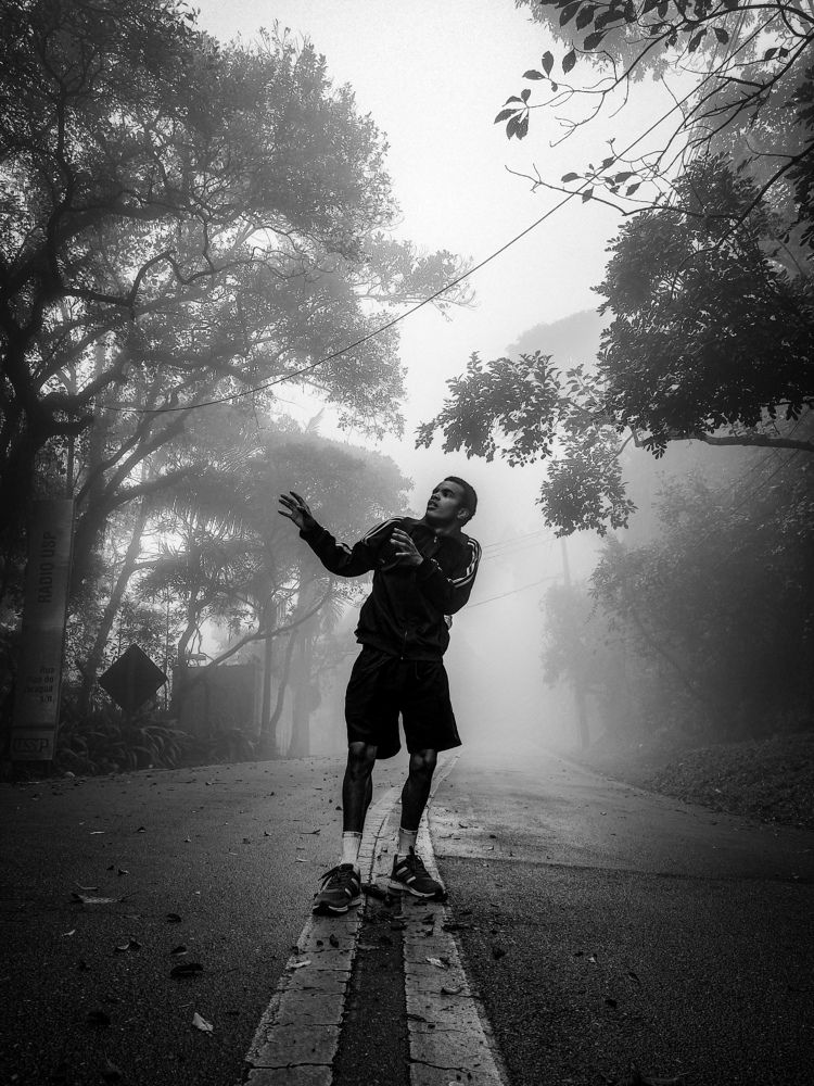 Photo #8693126