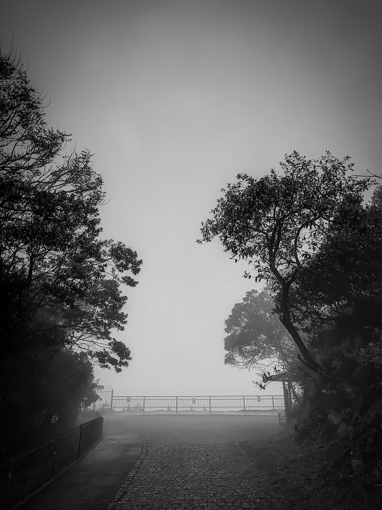 Photo #8693129
