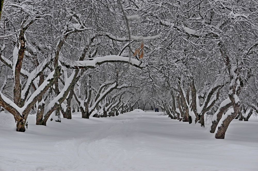 Photograph by Дмитрий Розенбаум
