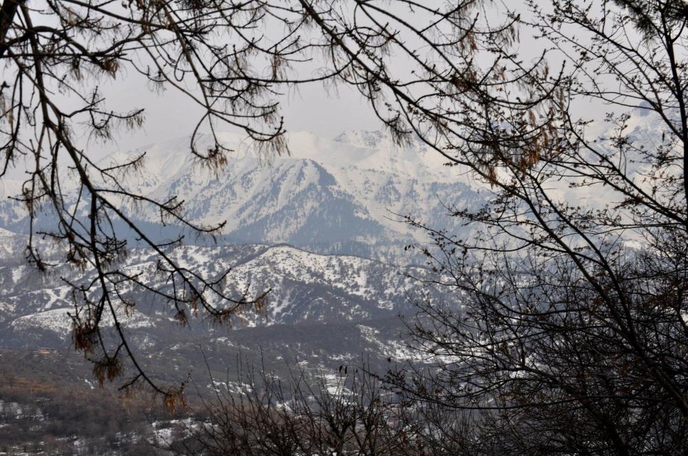 Photograph by Ирина Бабенкова