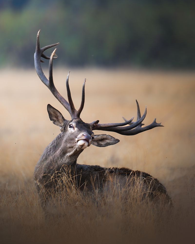 Photograph by Alexandra Surkova