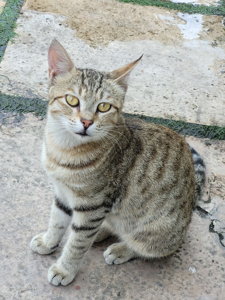 Photograph by Rahele Almassi