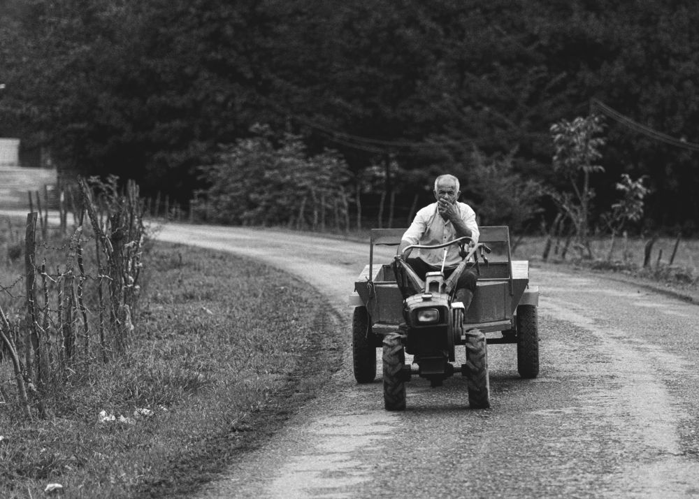 Photograph by Alireza Garousi