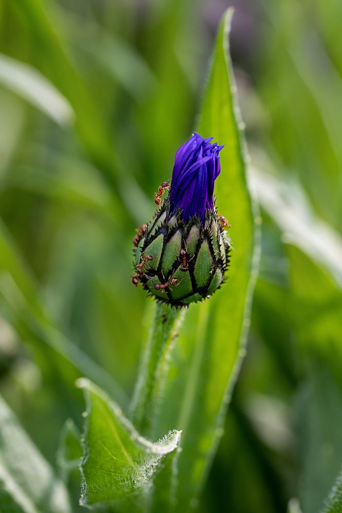 Photograph by Елена Иванова