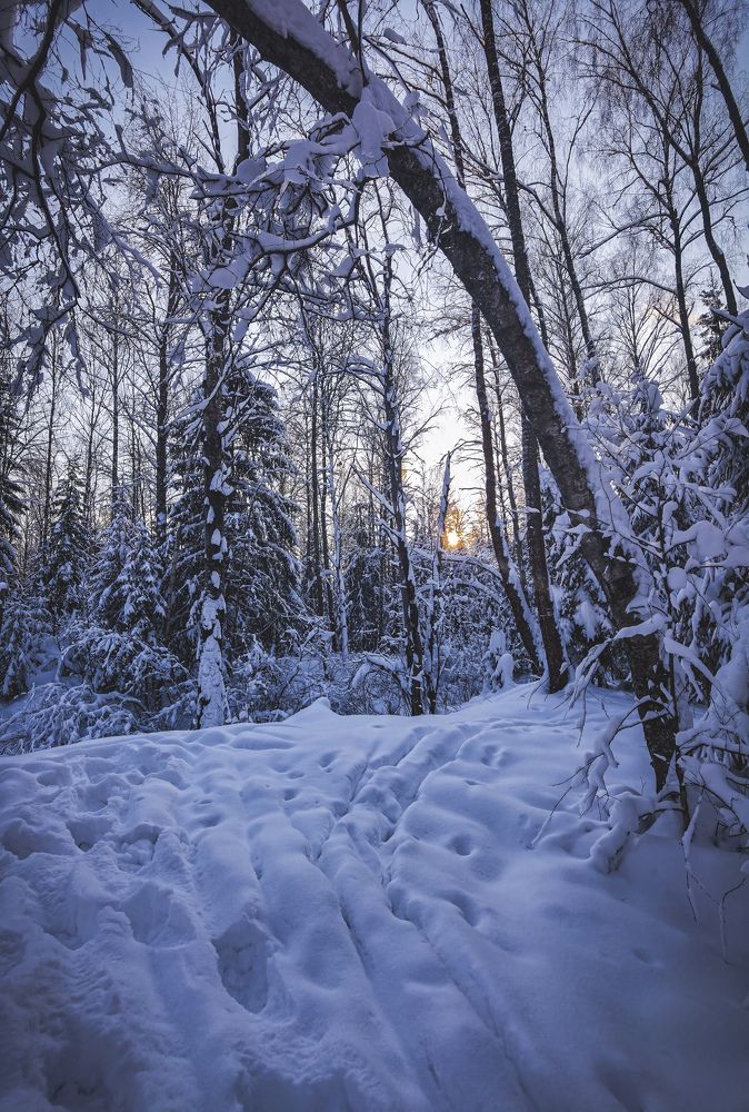 Photograph by Влад Апанасов