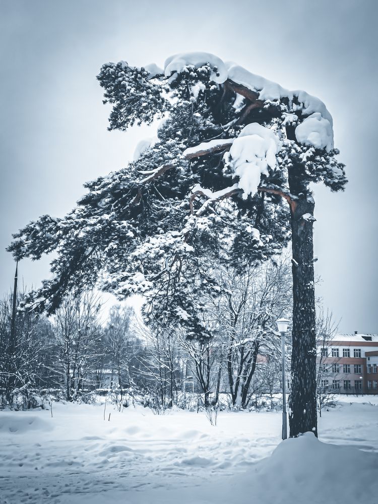 Photograph by Влад Апанасов