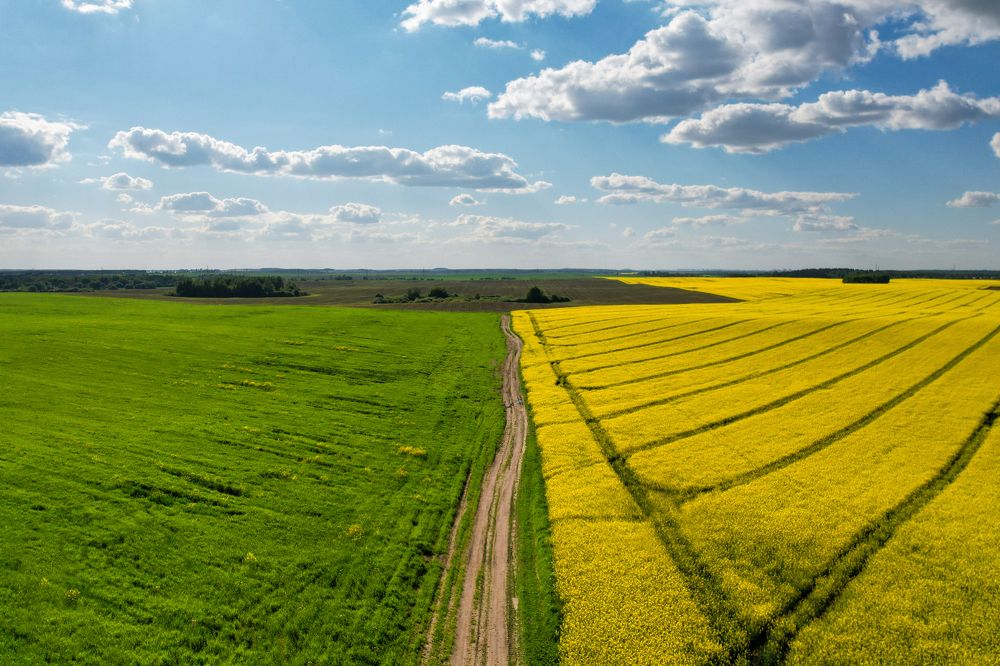 Photograph by Елена Иванова