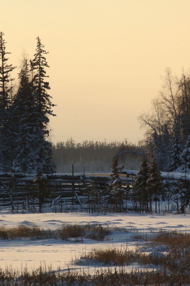 Photograph by Вероника Герасимова