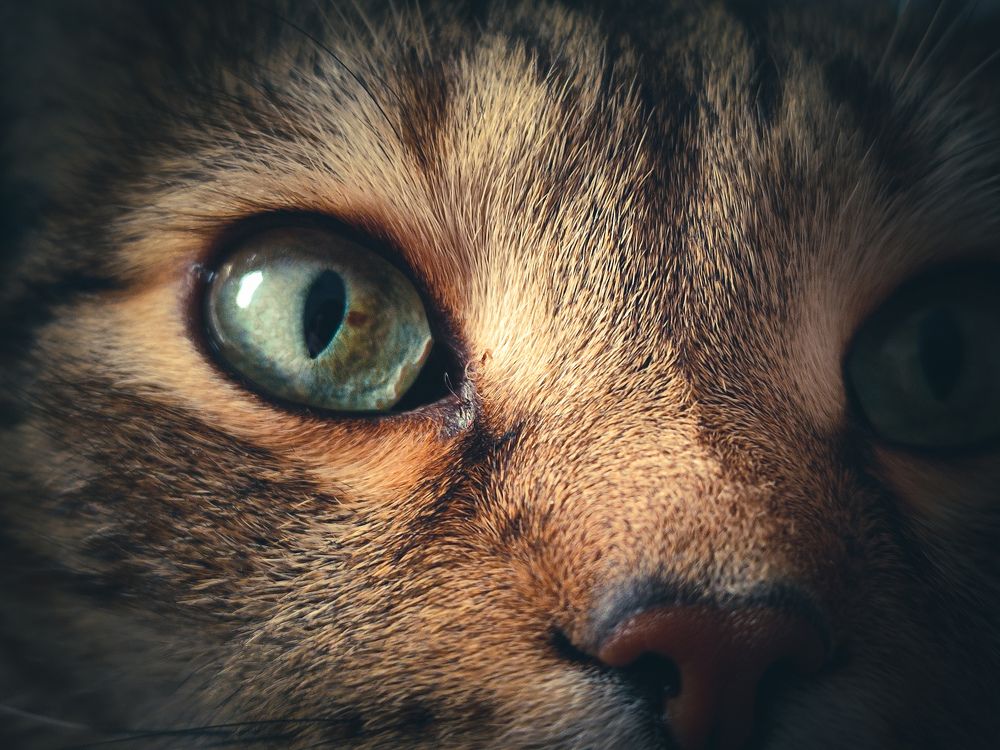 Photograph by Александра Петрова