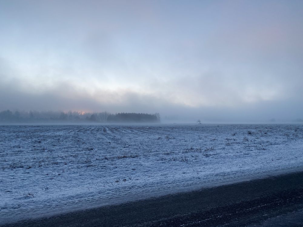 Photograph by Kravchenko Elena