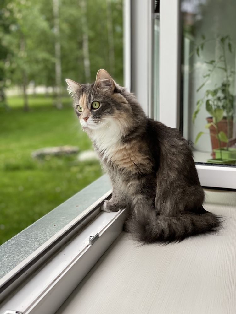 Photograph by Kravchenko Elena